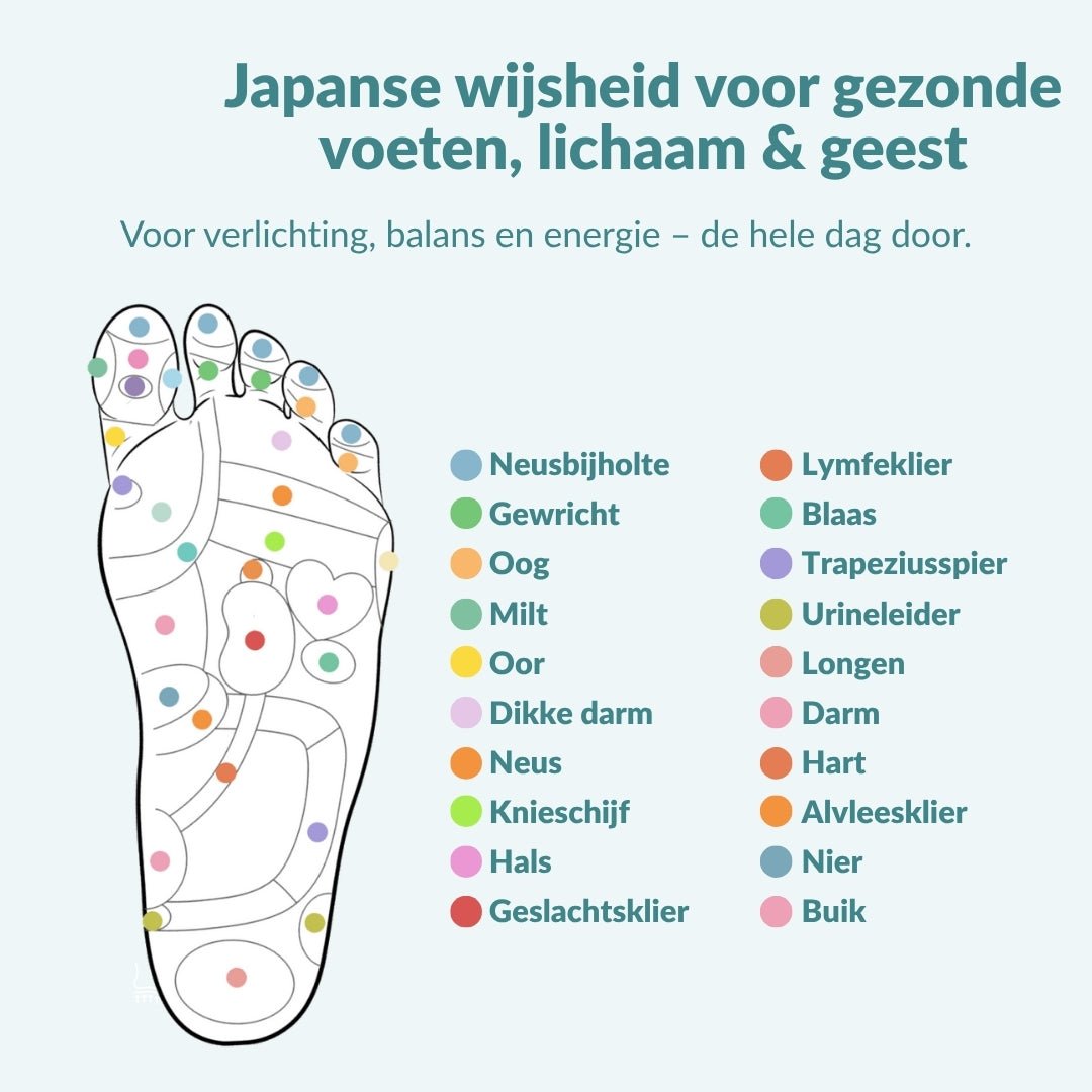 ReliveX™ Magnetische Inlegzolen | Verlies Gewicht bij ELKE STAP